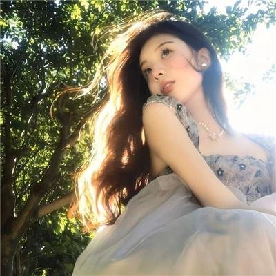 公猫
